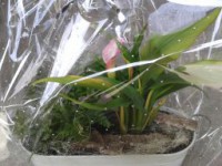 /album/galerie-photos/a1432814826978-jpg/