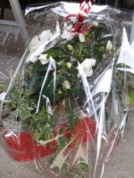 /album/galerie-photos/a1432814886511-jpg/