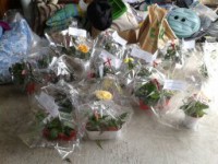 /album/galerie-photos/a1432814916181-jpg/